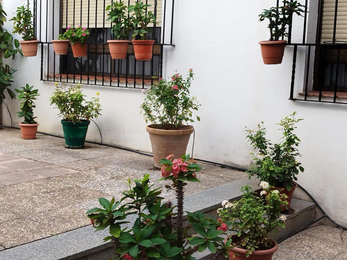 El Balcon De San Pablo Lägenhet Córdoba Exteriör bild